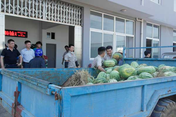 滁州政府送清凉正在搬运西瓜